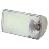 Fluorescent Flood Light