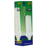 Compact Fluorescent 4 Pin Light Bulb