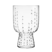 Sarjaton Glass (Set of 2)
