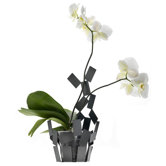 "Stanza Scirocco" Vase Cover in Black