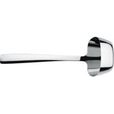 "Dressed" Ladle
