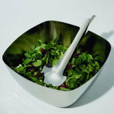 Iota Salad Bowl by Kristiina Lassus, 2006