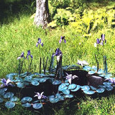 Diana Fountain