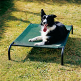Coolaroo Dog Beds & Mats