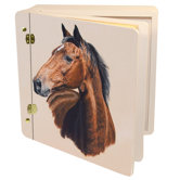 Animals Finn Memory Box
