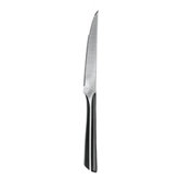 Katana Series 4 Piece Steak Knife Set