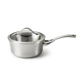 Contemporary Stainless Steel Saucepan with Lid