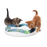 Cat Toys