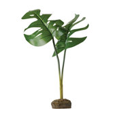 Exo Terra Phyllo Decorative Plant