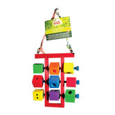 Living World Learning Blocks Hookbill Bird Toy