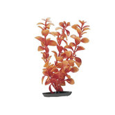 Marina Medium Vibrascaper Ludwigia Plant in Red