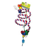 Living World Bungee Play