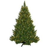 Evergreen Fir Prelit Christmas Tree with 250 Clear Lights