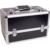 Professional Cosmetic Makeup Case