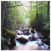 River of Life Canvas Wall Art - 19.75" x 19.75"