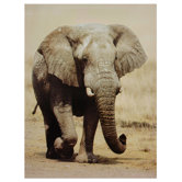 Walking Elephant Canvas Wall Art - 31.5" x 23.5"