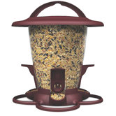 Dine Seed Bird Feeder
