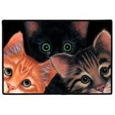 Peeping Toms Porch Doormat