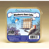 Suet Cake Blueberry Wild Bird Food