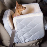 The Lookout Pet Safety System