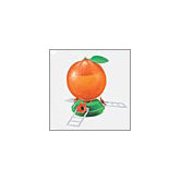 Orange Oriole Feeder