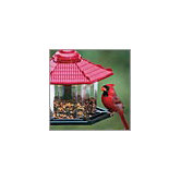 Gazebo Bird Feeder
