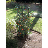 Tomato and Plant Grow Cage