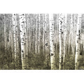 Aspen Highlands Wall Art