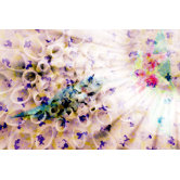 Weightless Wall Art