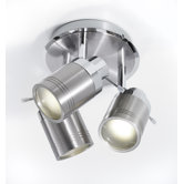 Ancona Head Spotlight