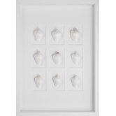 White Conch Shells  Art
