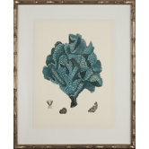 Turquoise Coral IV Art