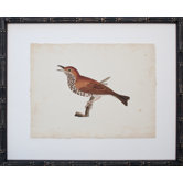 Vintage Bird I Art
