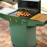 Master Grill in Green