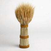 Harvest Market Wheat Bundle