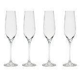 Bella Champagne Flute (Set of 4)