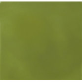Hand-Painted Ceramic 6" x 6" Glazed Field Tile in Nopal
