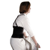 Standard Back Support