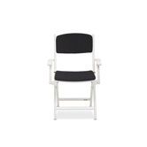 Selandia Arm Chair Back and Seat Cushion