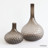 Glass Bulb Vase