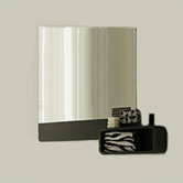 Ola Mirror