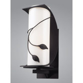 Hedera 7"  Outdoor Wall Lantern in Weathered Charcoal