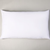 Equinox Support Pillow
