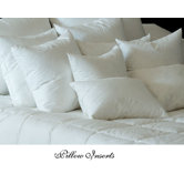 Downtown Boudoir Pillow Insert in White