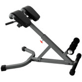 45 Degree Hyperextension