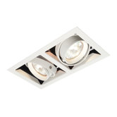 Box Two Light Recessed Downlight