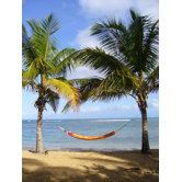 Barbados XL Hammock in Papaya