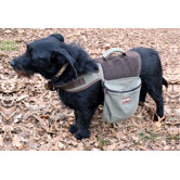 Dog Backpack