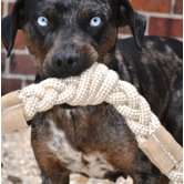 Knotted Braided Dog Toy