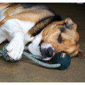 Dumbbell with Rope Ball Dog Toy